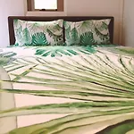 The Wonder At Stay-Bentencho-